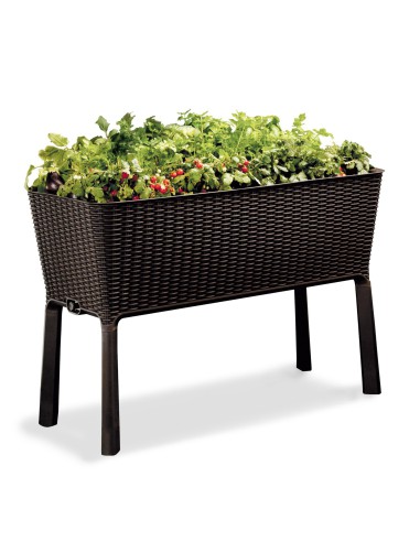 Duża donica ogrodowa warzywnik Keter Easy Grow 49,3 x 114 x 75,7 cm 7290005559822 10