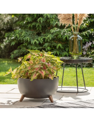 Biała misa, donica na nóżkach Roma Lamela 47.3 cm 5900119058822 13