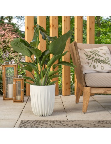 Minimalistyczna donica Mira ECO Lamela biała, 30 cm 5900119059157 8