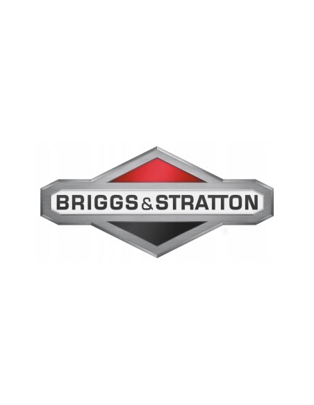 Zwrotna kosiarka spalinowa NAC LP42-300 z silnikiem Briggs&Stratton 5907510483451 9