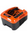 Akumulatorowa ładowarka NAC BC40-20-NG 40V 2A