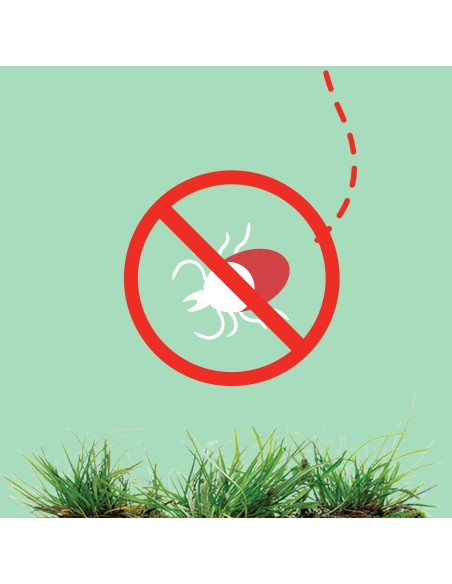 Skuteczny płyn przeciw kleszczom z atomizerem OFF! 100 ml 5000204252910 3