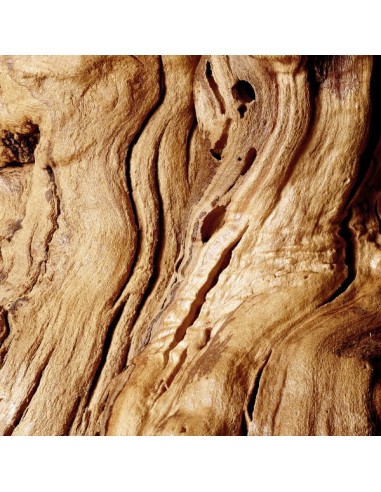 Podwójny odświeżacz powietrza w aerozolu 1+1 Glade Sensual Sandalwood & Jasmine 5000204983425 3