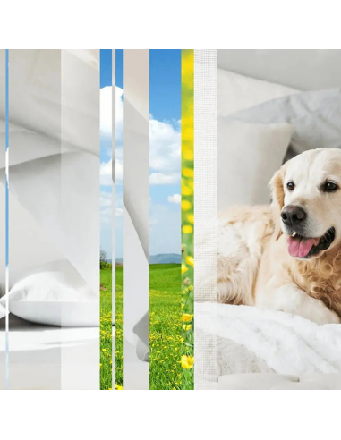 Wkład do odświeżacza powietrza niwelujący przykre zapachy Glade PETS Refreshing Air 269 ml 5000204381856 3