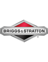 Briggs&Stratton