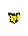 Raid